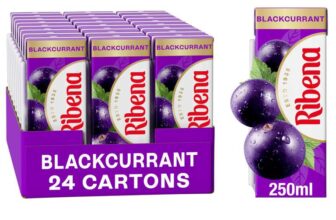 Riben Blackcurrant Juice Drink Cartons – Multipack 24x250ml – S&S £8.00