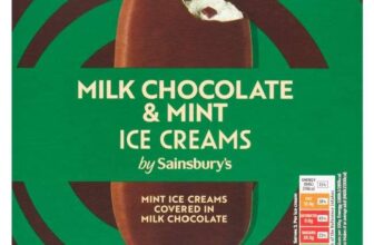Sainsburys 3 x Milk Chocolate & Mint Ice Creams