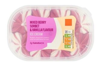 Sainsburys Mixed Berry Sorbet & Vanilla Flavour Ice Cream 900ml