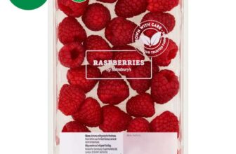 Sainsburys Raspberries 150g – nectar card