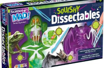 Science Mad Squishy Dissectables 2 Pack – Kids Fun Anatomy Organ Toy Tactile Human Body Frog Bat Biology Dissection Models with Tweezers Scalpel Tools for STEM Learning Fun Educational Gifts