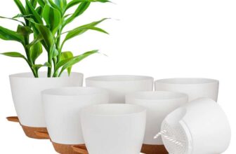 Self-watering plant pots