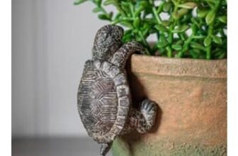 Set of 2 Timmy Tortoise Pot Hangers