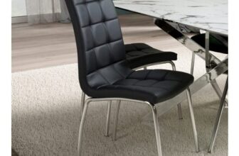 Shankar Jenner Set of 2 Black and Chrome Leather Dining Chair