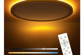 Slochi Dimmable LED Ceiling Light with Remote, 29 Cm, 3000-6500K