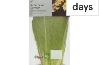 Tesco Finest Sweetheart Lettuce – Clubcard Price