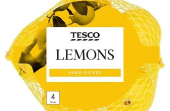 Tesco Lemons 4 Pack – clubcard price