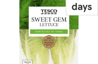 Tesco Sweet Gem Lettuce – Clubcard Price