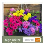 Tutti Frutti Pre-Planted Basket