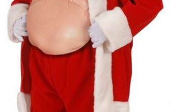 W WIDMANN MILANO Party Fashion – Inflatable Hump/Belly for Adults, Santa Claus, Truck Driver, Witch, Pregnant, Halloween,32×42 cm