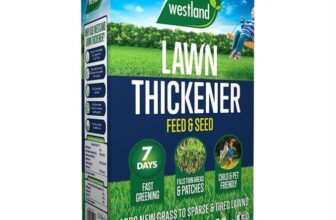 Westland Lawn Thickener 80m2 2.56kg