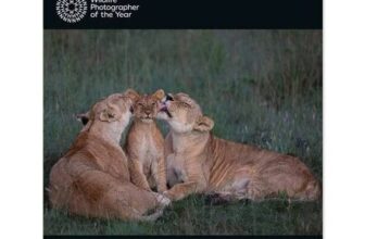 Wildlife Photographer of the Year Wall Calendar 2026