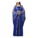 Womens Hanfu Costume, Sheer Wide Sleeves, Dynasty Princess Dress