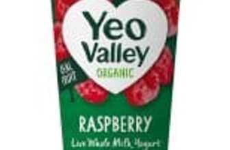 Yeo Valley Raspberry Organic Yogurt 450g