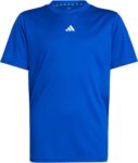 adidas Train Essentials Logo Regular Fit T-Shirt Kids