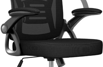 naspaluro Office Chair Ergonomic Desk with 90 Flip-up Armrest Lumbar Support, Height Adjustable Chair, Executive Swivel Computer Padded Seat Cushion for Home/Office