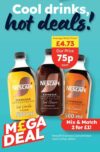 2 x Nescafé Iced Coffee / Vanilla / Caramel Espresso Concentrated 500ml bottles