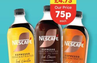 2 x Nescafé Iced Coffee / Vanilla / Caramel Espresso Concentrated 500ml bottles
