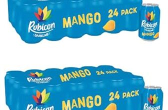 2 x Rubicon Mango Flavoured Fizzy Drink with Real Fruit Juice, 24 x 330ml Cans – at checkout (£13.11 – £12.16 with S&S)