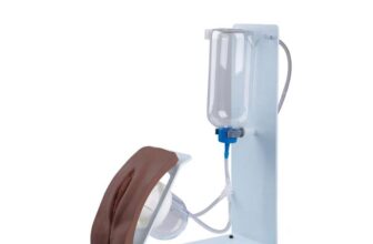 3B Scientific P93BFD Female Catheterization Simulator BASIC (Dark Skin)