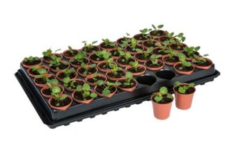 40 Pot Seed & Cutting Tray