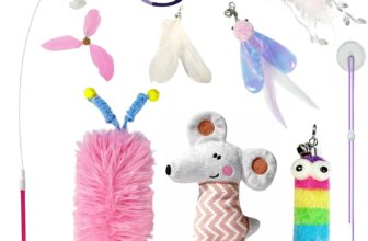 7 in 1 Interactive Cat Toys Set, Cat Toys for Indoor Cats, Cat Wand Toy with Suction Cup, Catnip Mouse, Feather Teaser Toys, Kitten Toys for Indoor Cats and Kittens