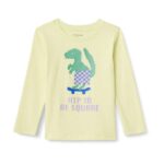 Amazon Essentials Boys 100% Cotton Long-Sleeve T-Shirts Size 9 Years