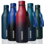 BJPKPK Insulated Water Bottles, 25oz/739ml Stainless Steel Metal Water Bottle with Strap, BPA Free Leak Proof