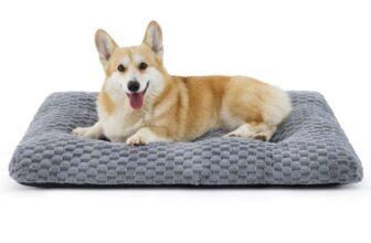 Bedsure Large Dog Bed Washable, Grey, 89x58x9cm Bedsure Comfy Pet / FBA