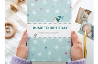 Bump to Birthday, a Pregnancy and First Year Journal