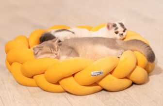 CheerPals Fully Detachable Chunky Knit Cat Bed with Winter Warm Soft Pad, Machine Washable Braided Short-pile Pet Bed for Indoor Cats and Small Dogs, Anti-Collapse Support, 60x60x17cm