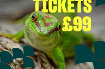 Chester Zoo – 4 tickets £99