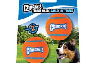 Chuckit Tennis Ball Lightweight Dog Toy for Fetch Pack of 2