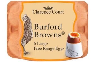 Clarence Court Burford Brown 6 Large Free Range Eggs