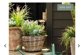 Classic Watering Can 10L – Steel, Thistle Green – 20% off w/Code