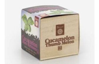 Cucamelon Thumb Melon in a Box