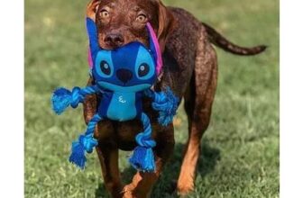 Disney Lilo and Stitch Rope Toy for Dogs