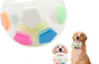 Dog Calming Ball With Handle, Interactive Stress Relief Toy for Dogs Squeaky Portable Floatable Dog Puppy Chew Toy All (C)
