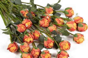 DuHouse 24pcs Artificial Silk Roses with Long Stems Vintage Style Fake Rose Flowers for DIY Bouquets, Wedding Centrepieces, Party or Home Decoration(Burnt Orange)