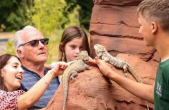 Exotic Zoo Wildlife Park – Family Pass