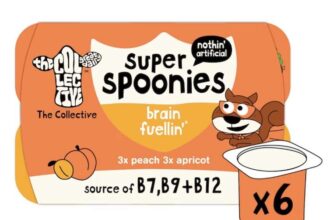 FREE Super Spoonies Brain Fuellin- Peach & Apricot or Super Spoonies Immunity Supportin Strawberries & Berries w/ Coupon