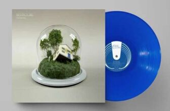 Fenne Lily Big Picture Vinyl album (With code) – MusicMagpie Shop