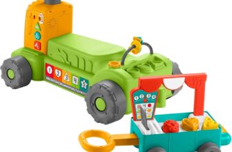 Fisher-Price HRG12 Toy, Multi-Color,Small