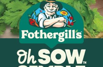 Fothergills Oh Sow Simple, Coriander Vegetable Seeds, Sow: JanDec, Green