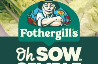 Fothergills Oh Sow Simple, Lettuce Little Gem Vegetable Seeds £1.24-1.18 max S&S