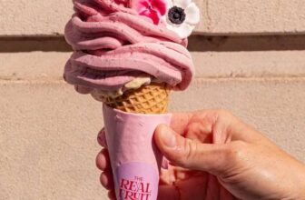Free Real Fruit Ice Cream for both new & existing AnthroPerks users (free to join) – London Kings Cross Manchester