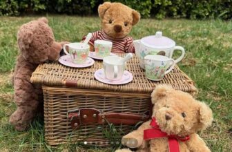 Free Ticket Kids Summer Fun Presents The Teddy Bear Picnic with The Toy Project