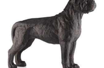 Garden Stories Timeless Rocky the Boxer Sculpture