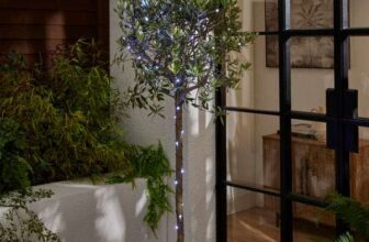 Green Copper 50 LED Outdoor String Lights, Multicoloured White / Warm White – Free C&C