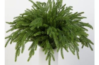 HBell 6Pcs Norfolk Pine Stems, Real Touch Artificial Branches